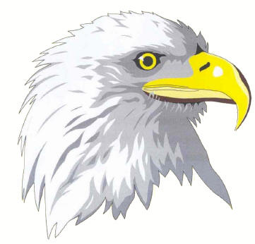 Inserted Image